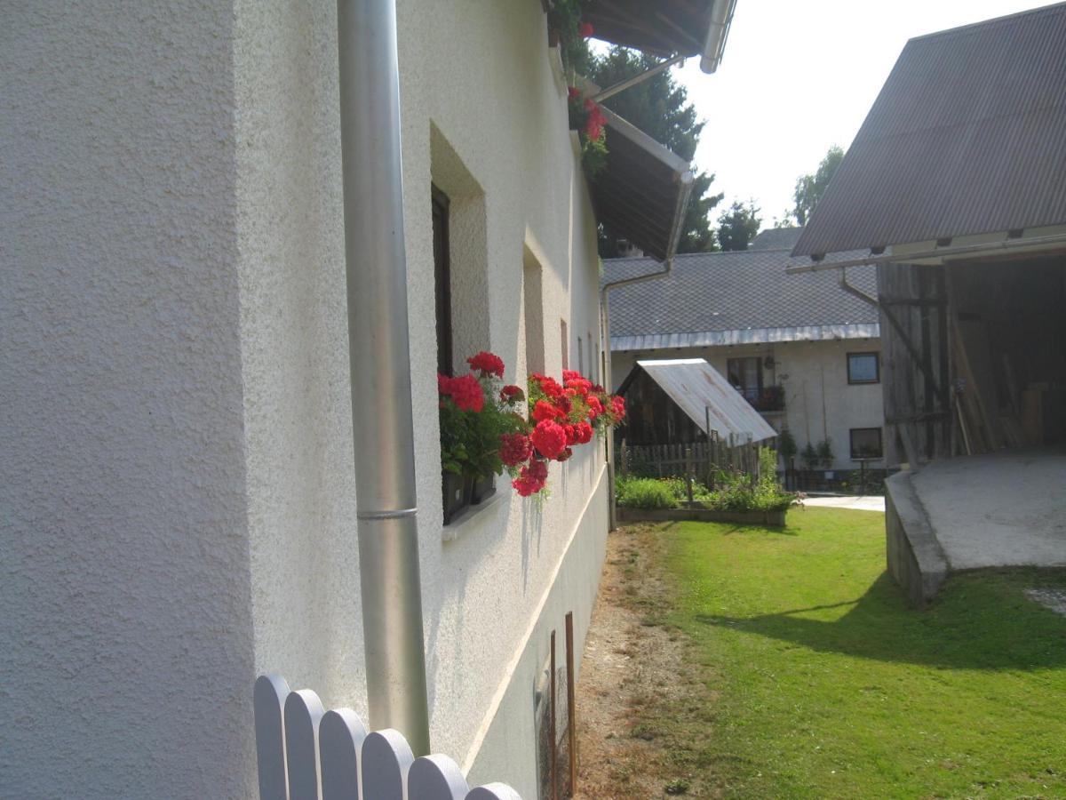 Apartma Tilika Kranjska Gora Exterior photo